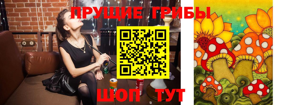 Псилоцибиновые грибы мухоморы Пенза