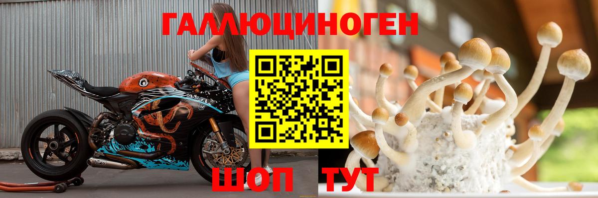 Псилоцибиновые грибы прущие грибы  Вход с VPN  закладка  Пенза  Псилоцибиновые грибы Magic Shrooms 